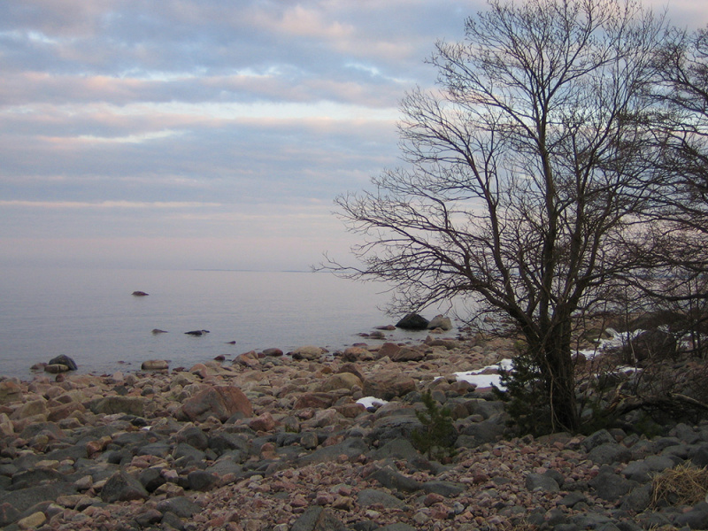 gallery/20070330_3773_1000px2